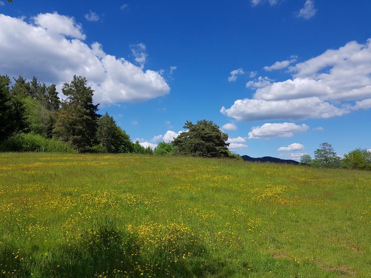 Hoellenbergblick Spirkelbach Esterno foto