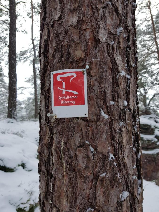 Hoellenbergblick Spirkelbach Esterno foto