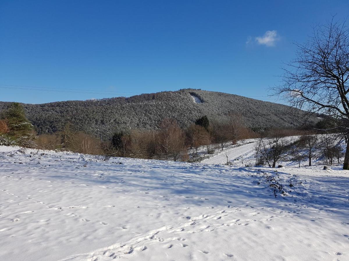 Hoellenbergblick Spirkelbach Esterno foto